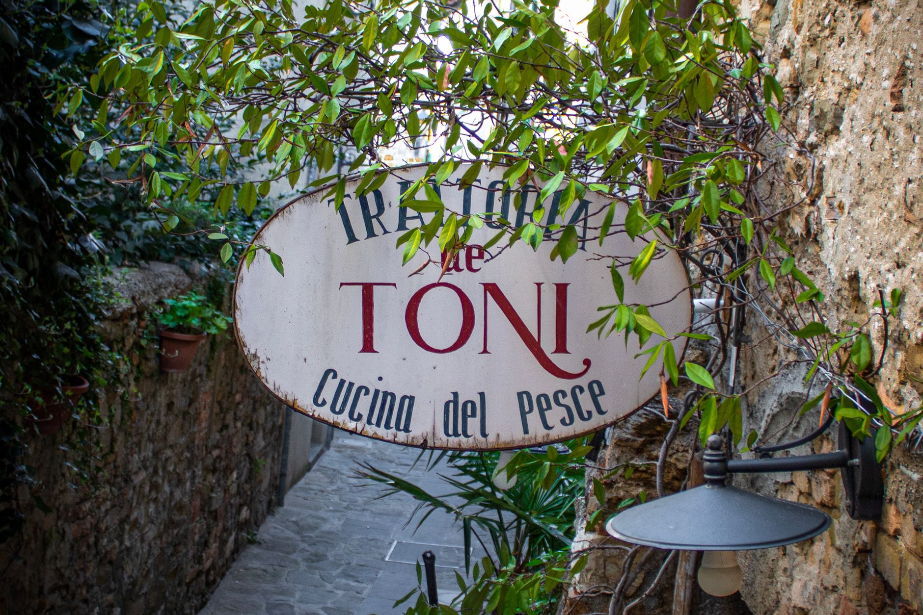 The story behind authentic Italian cooking in Dublin - The Story Behind Authentic Italian Cooking in Dublin