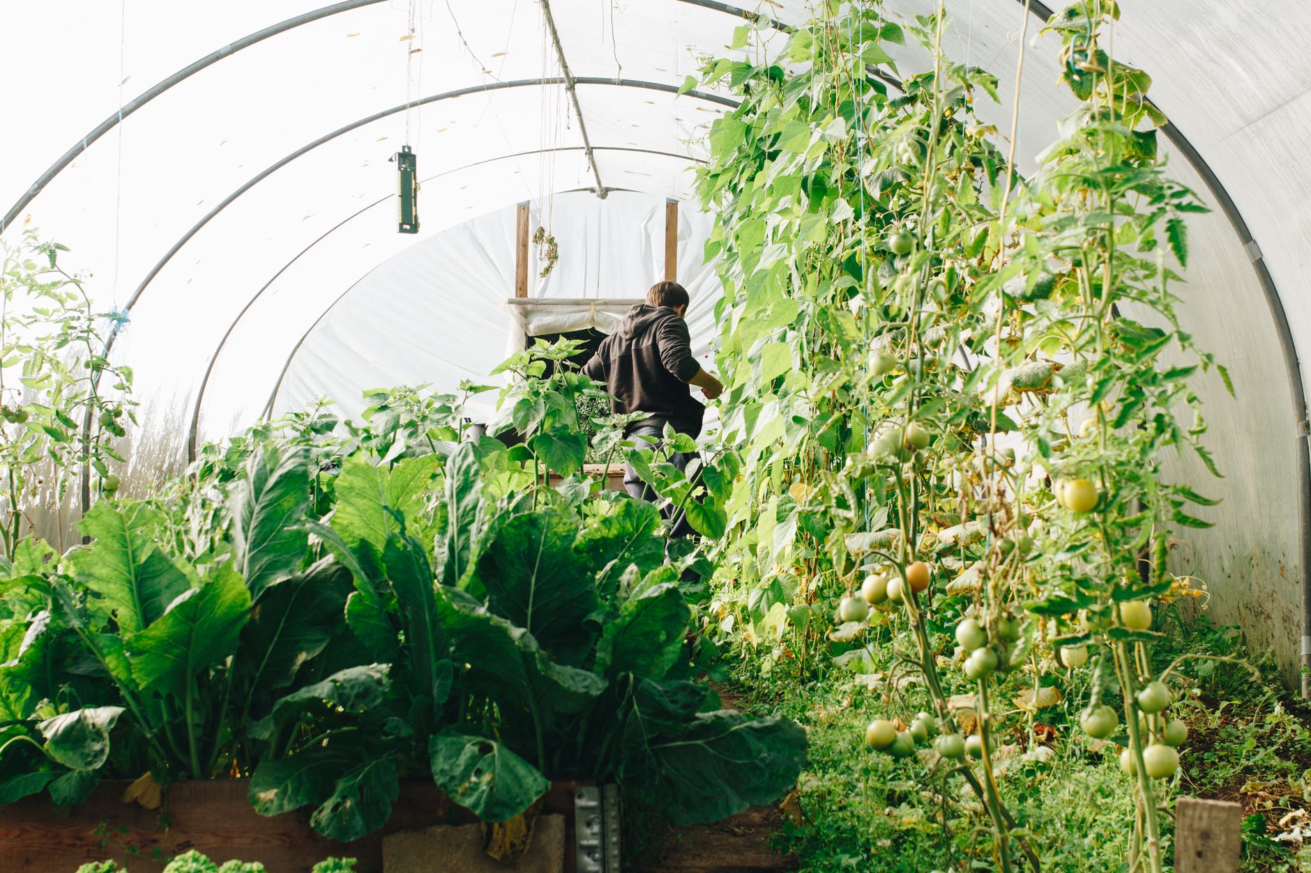 Transforming Waste Management into a Green Advantage - How to Turn Waste Management into a Green Advantage